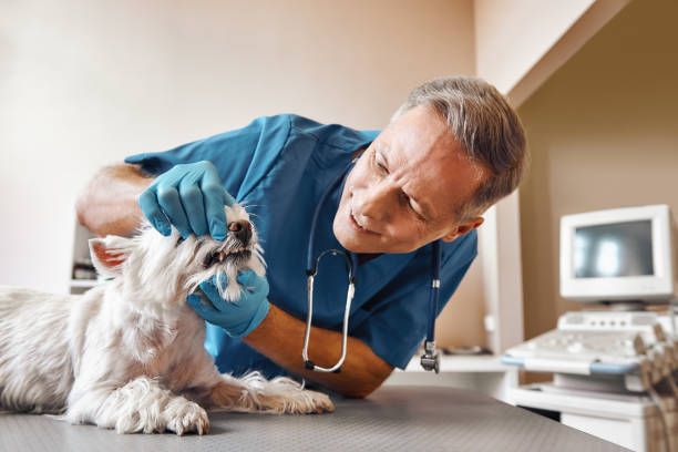 Best Walk-In Emergency Dentist in Washburn, WI