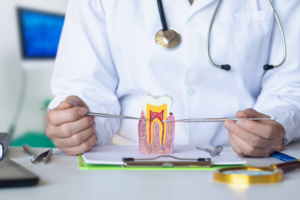 Best Pediatric Emergency Dentist in Washburn, WI